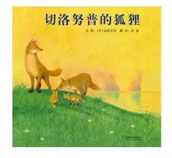 切洛努普的狐狸（上） 商品图0