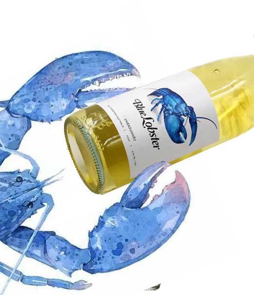 蓝龙虾霞多丽干白葡萄酒750ML    2瓶包邮 商品图2