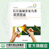 长江流域常见鸟类观赏图鉴  9787511110022  傅之屏  收录了长江流域的常见鸟类 商品缩略图0