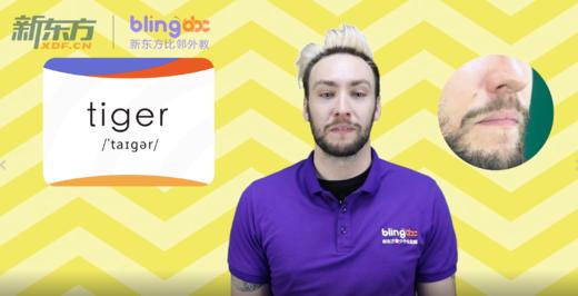 一年级-tiger 商品图0