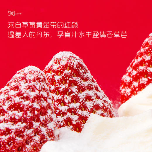 金牛报喜 -草莓红丝绒蛋糕，可选2/3/5磅（深圳均可配送） 商品图4