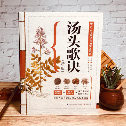 汤头歌诀:精版 商品图4