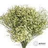 配花 | 水晶草黄色 商品缩略图0
