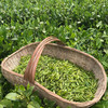 【常州馆】富硒堂毛尖新茶特惠嫩芽80g罐装春茶毛尖小绿茶包邮 商品缩略图4