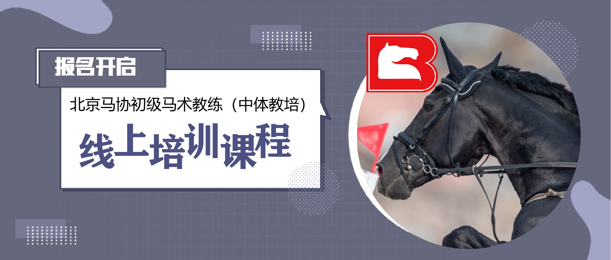 北京马协在职马术教练培训班-线上培训课程