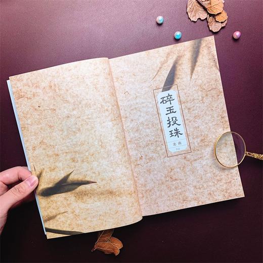 新书预售 碎玉投珠 北南著 霍乱江湖 丁汉白 纪慎语 晋江青春文学古风古典文学小说书籍 商品图2