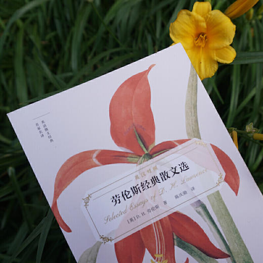 劳伦斯经典散文选（英语散文经典名家名译） 商品图1