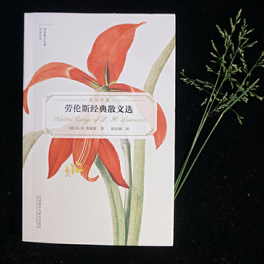劳伦斯经典散文选（英语散文经典名家名译） 商品图3