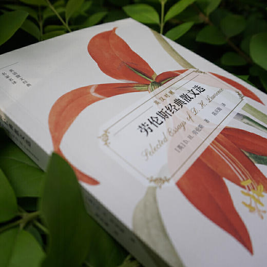 劳伦斯经典散文选（英语散文经典名家名译） 商品图4