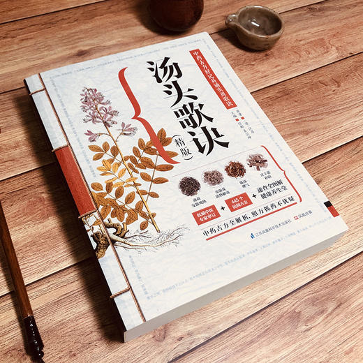 汤头歌诀:精版 商品图3