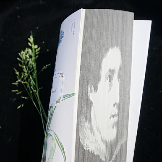 兰姆经典散文选(英语散文经典名家名译) 商品图4