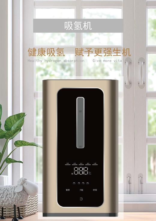 百特斯吸氢机H100 商品图0