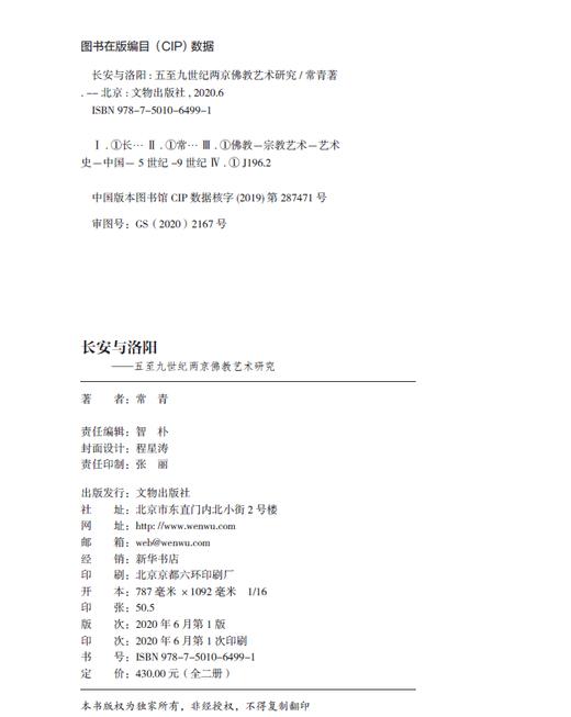 长安与洛阳——五至九世纪两京佛教艺术研究 商品图1