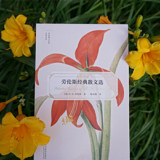 劳伦斯经典散文选（英语散文经典名家名译） 商品图2