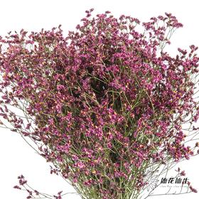 配花 | 水晶草红色