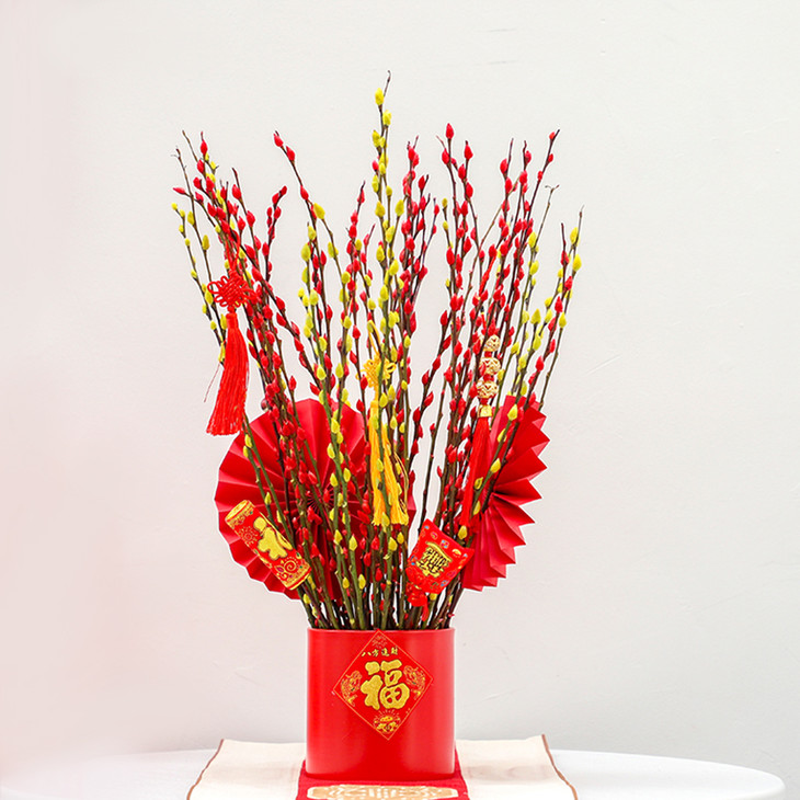 招财银柳盆景-招财柳元旦跨年春节年宵花室内装饰新年鲜切枝(盆子挂饰