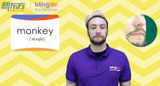 三年级-monkey 商品图0