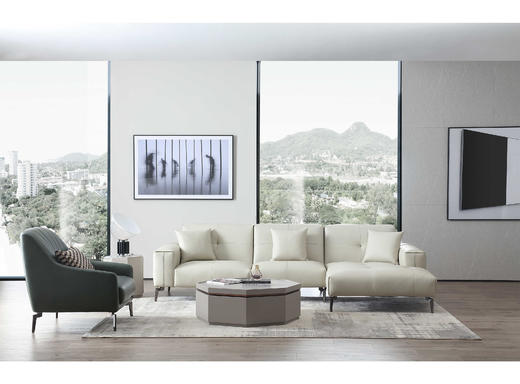 Verona 休闲椅| 更多皮布面料可选，详询客服 商品图6