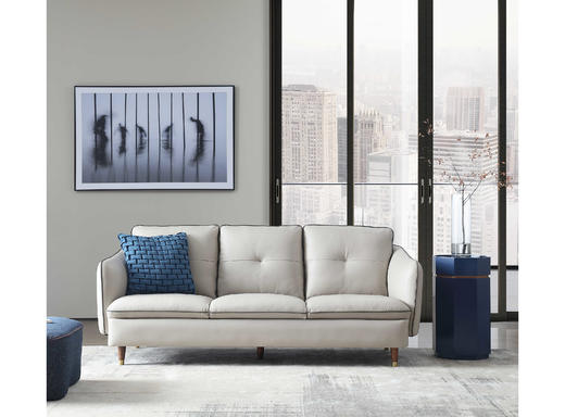 Aosta 三人沙发 |  更多座位，皮料可选，详询客服 商品图6