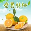 会昌桔柚 商品缩略图0