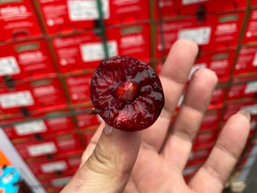 misso双勾车厘子