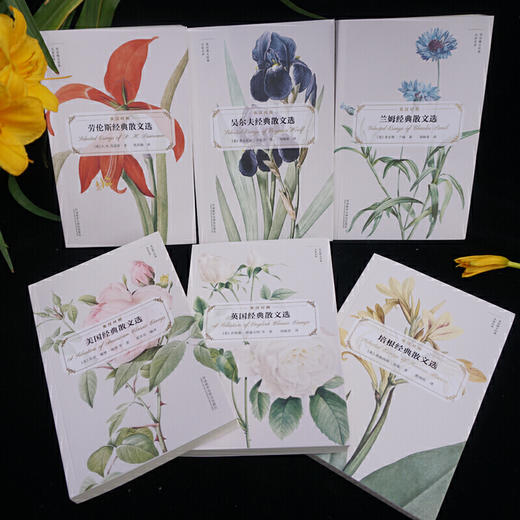 劳伦斯经典散文选（英语散文经典名家名译） 商品图5