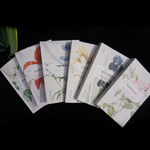 培根经典散文选（英语散文经典名家名译） 商品图3