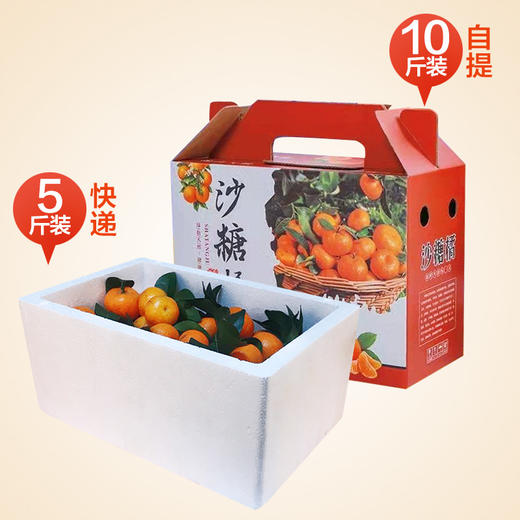 正宗佛冈砂糖桔整箱5斤 橘子皮薄多汁 新鲜上市  全国非偏远地区包邮 商品图3
