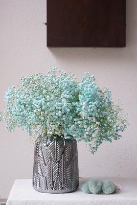 【周四团购】进口满天星49.9元 2人拼团