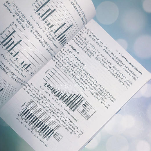 牡丹江水质综合保障技术及工程示范研究 商品图4