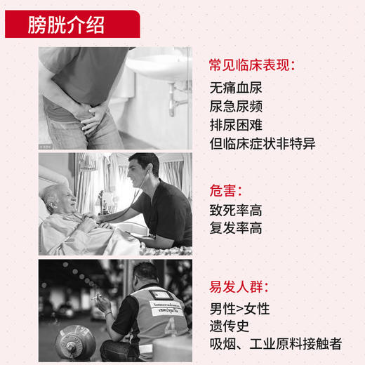 “爆款新春购-3（年后初八恢复发货） 商品图4