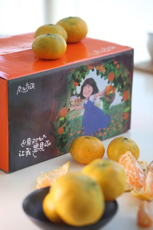 赣南蜜桔 10斤装 桔子不打蜡 人工挑选（限济南同城） 商品图5