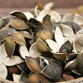 【穗源】 清新本地 野生青桔皮  250克