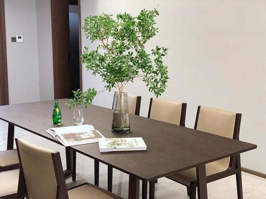 【周四团购】90公分马醉木78元 2人拼团 商品图0