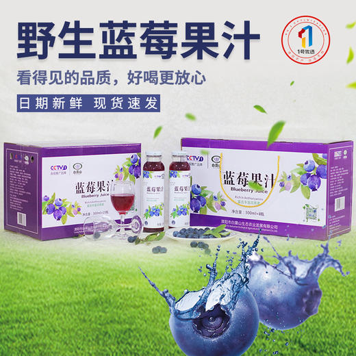 【常州馆】白露山野生蓝莓汁300ml瓶8瓶装整箱蓝莓原浆原浆纯果汁饮料玻璃瓶 商品图3