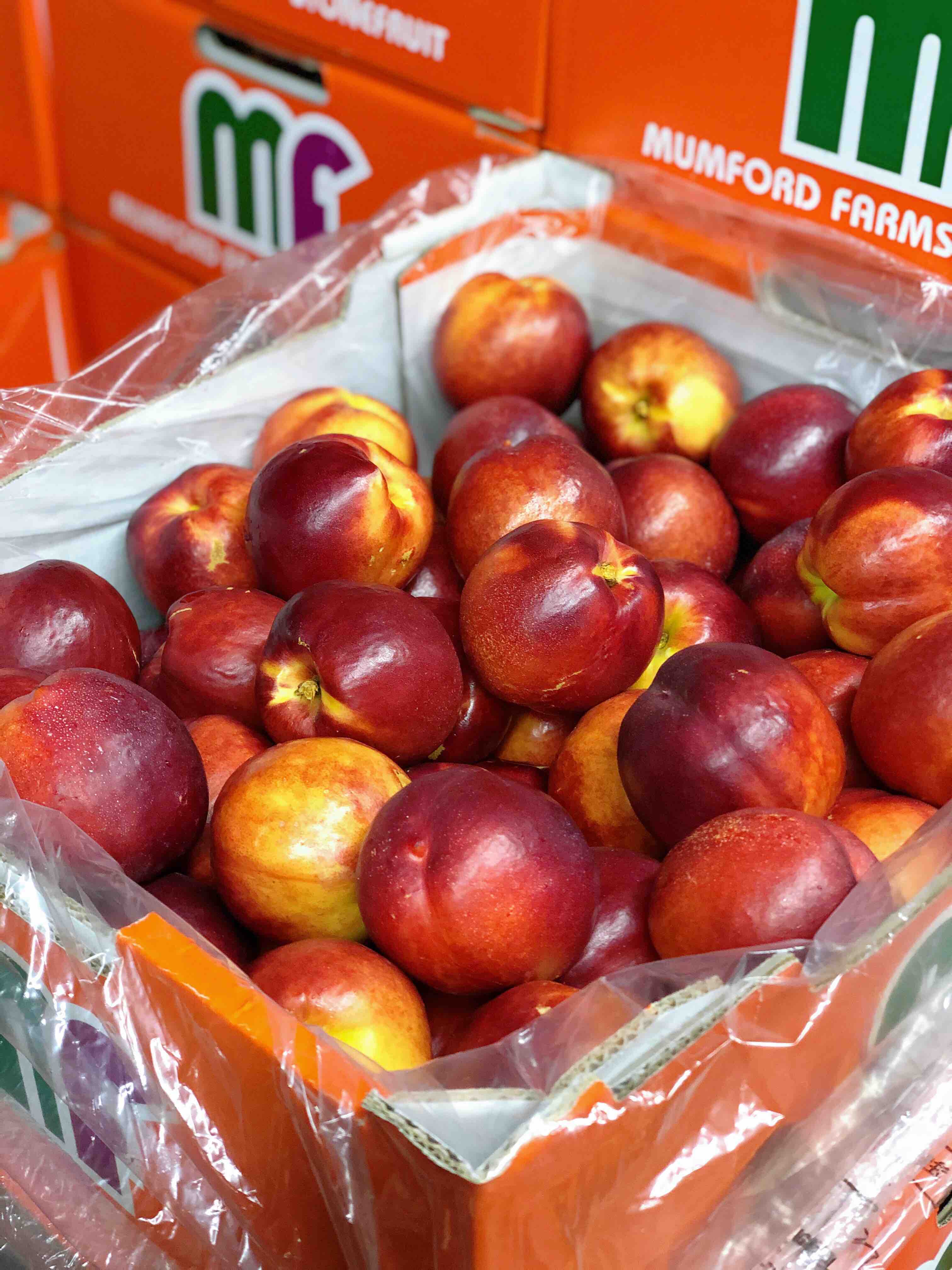 【黄油桃】澳洲黄肉油桃(空运)黄油桃,入口脆甜香浓,黄肉油桃的甜度更