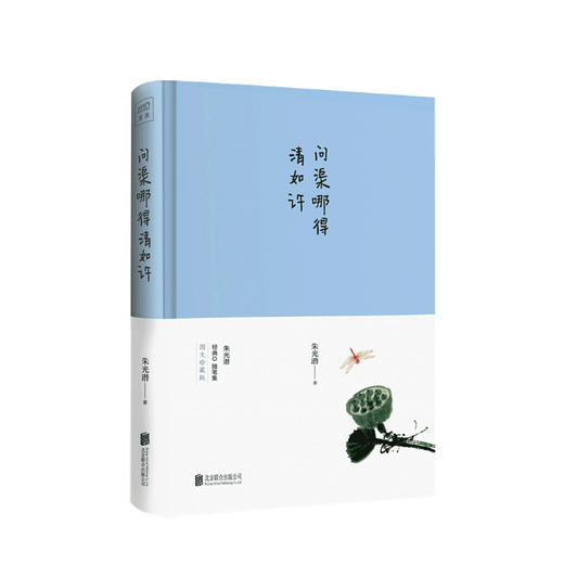 新书预售 问渠哪得清如许 朱光潜 著 文学散杂文随笔书籍 商品图0