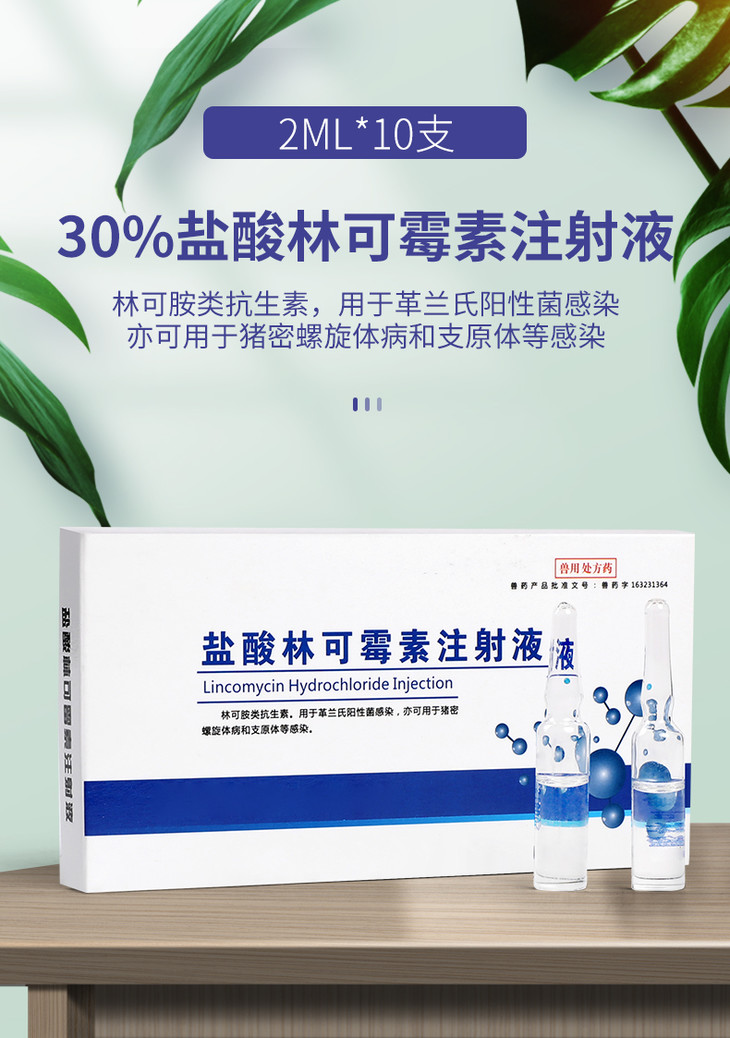 华畜30%盐酸林可霉素注射液 高烧咳嗽喘肠炎低烧 猪牛羊药