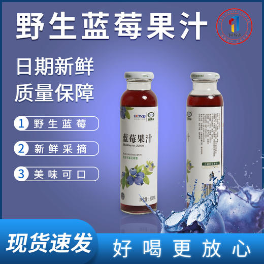 【常州馆】白露山野生蓝莓汁300ml瓶8瓶装整箱蓝莓原浆原浆纯果汁饮料玻璃瓶 商品图0