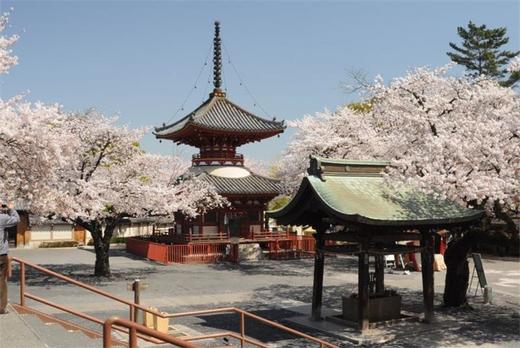 日本艺术与设计活动建筑-旧市镇街景五 商品图7