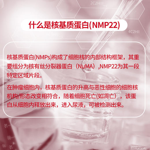 “爆款新春购-3（年后初八恢复发货） 商品图5