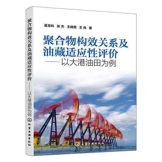 聚合物构效关系及油藏适应性评价 以大港油田为例 商品图0