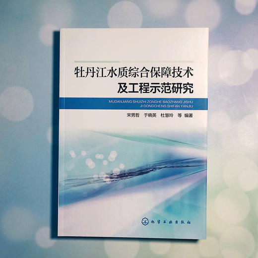 牡丹江水质综合保障技术及工程示范研究 商品图1