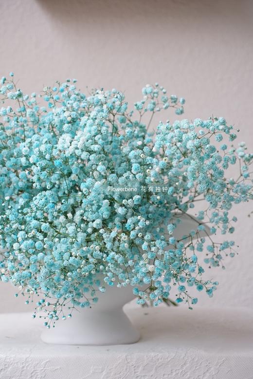 【周四团购】进口满天星49.9元 2人拼团 商品图1