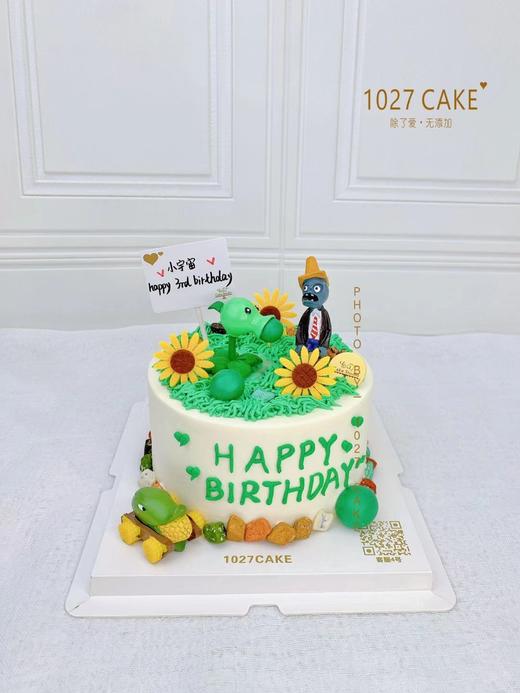 1027CAKE | 植物大战僵尸主题蛋糕 商品图1