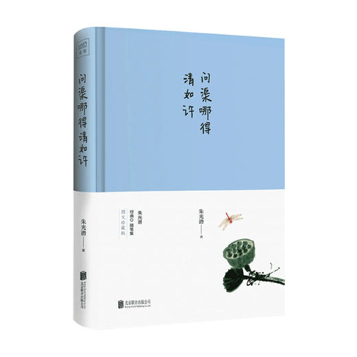 新书预售 问渠哪得清如许 朱光潜 著 文学散杂文随笔书籍 商品图1