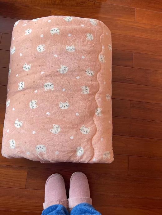 暖暖的厚被子 发热吸湿被 尺寸200*230 商品图2