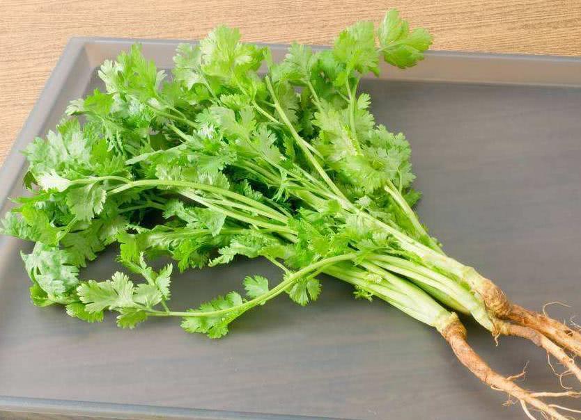 【生鲜预定】香菜