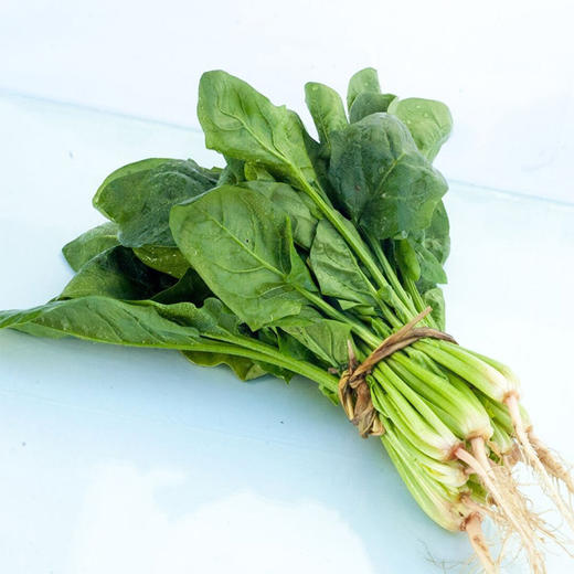 【生鲜预定】菠菜1kg 商品图0