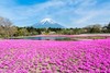 日本自然-日本湖 商品缩略图1